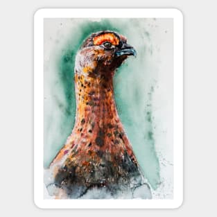 Red grouse Sticker